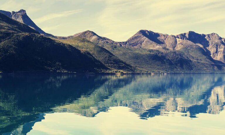 Page Speed: What You Need To Know